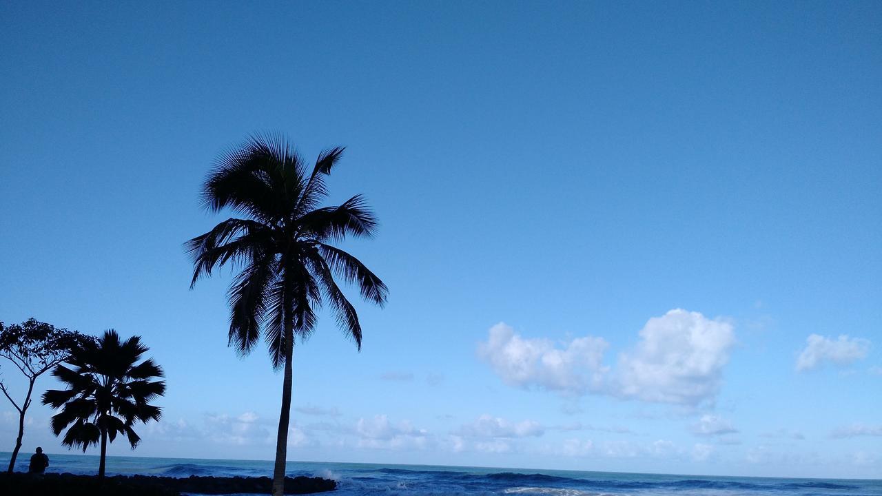 Edificio Palmetto Beach Apartamento